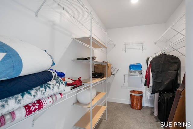1549 Center Hill Rd SE Unit 37, Lowell, MI 49331 - walk in closet with carpet