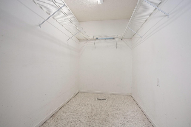6010 Long Lake Rd, Berrien Springs, MI 49103 - spacious closet with visible vents