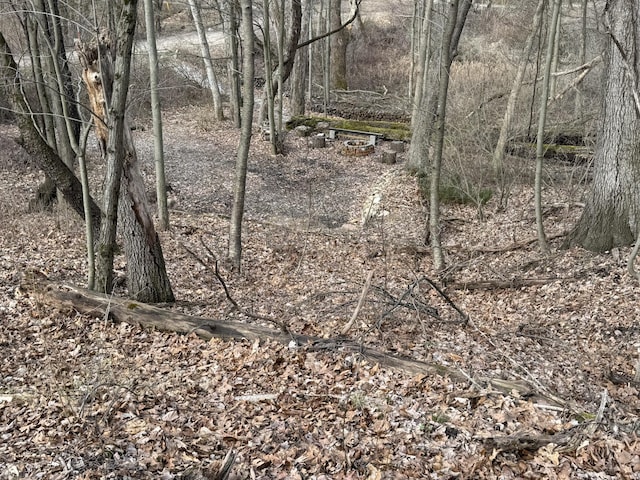 20692 Hidden Lake Dr, Gregory, MI 48137
