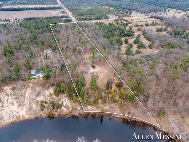 bird's eye view with a water view and a wooded view