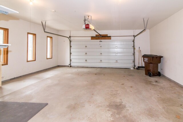 9675 Nabozny Dr, Milan, MI 48160 - garage with a garage door opener