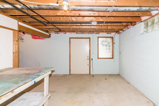 9675 Nabozny Dr, Milan, MI 48160 - below grade area with concrete block wall
