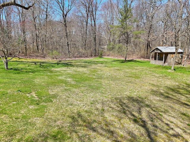 view of yard