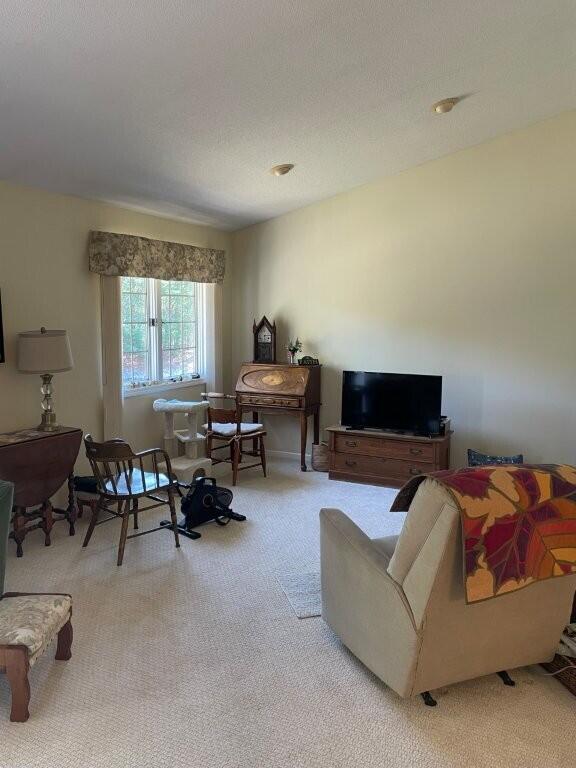 view of carpeted living area