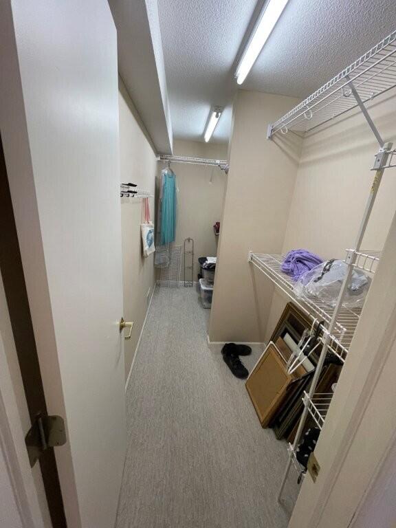 walk in closet with carpet floors