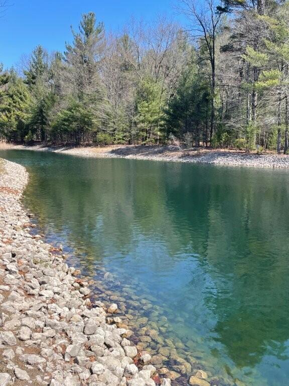 property view of water with a view of trees