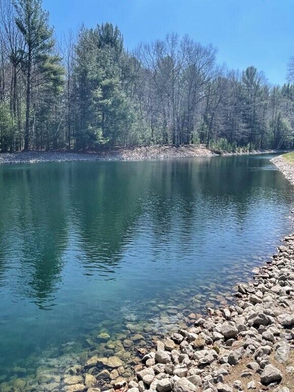 property view of water with a forest view