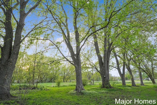 1864 92nd St SW, Byron Center, MI 49315 - view of yard