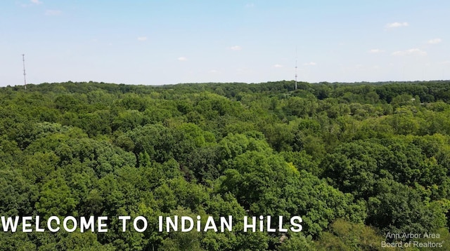 6111 Indian Hills Dr, Ypsilanti, MI 48198 - photo 1