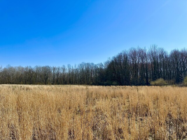 LOT9 Foster Ln, South Haven, MI 49090 - view of local wilderness featuring a wooded view and a rural view