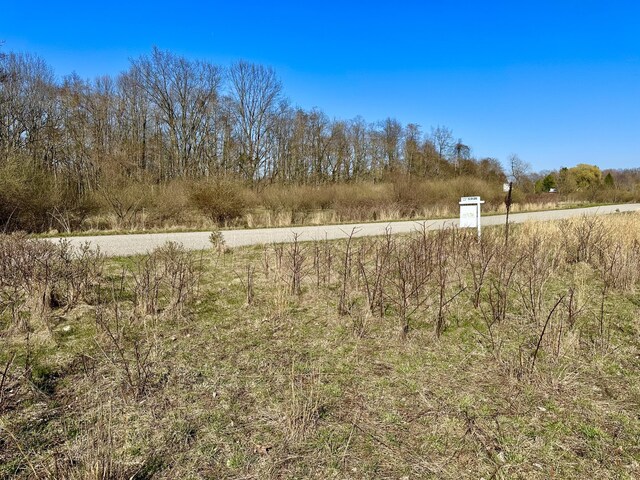 LOT9 Foster Ln, South Haven, MI 49090 - view of yard