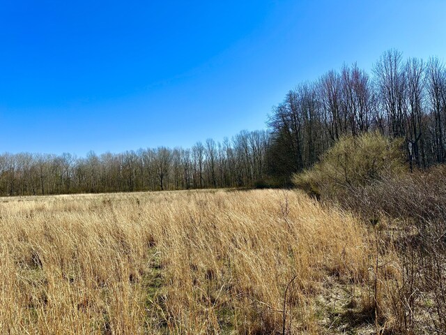 LOT9 Foster Ln, South Haven, MI 49090 - view of landscape with a rural view