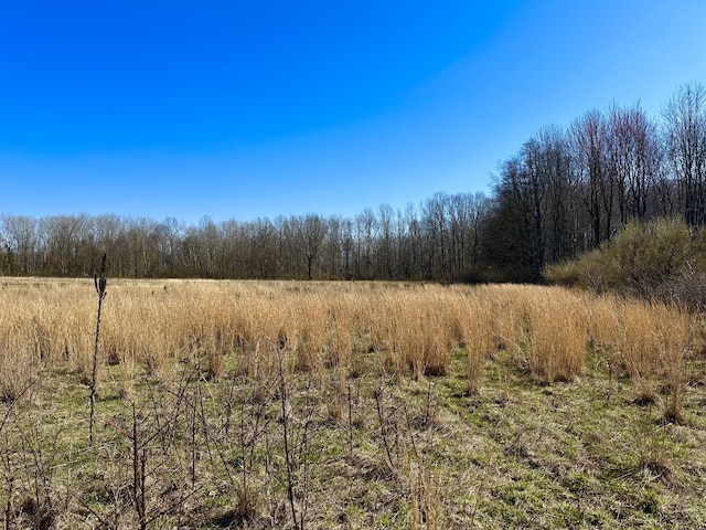 LOT9 Foster Ln, South Haven, MI 49090 - view of nature