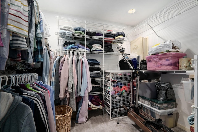 8170 Talaria Ter, Kalamazoo, MI 49009 - walk in closet with carpet