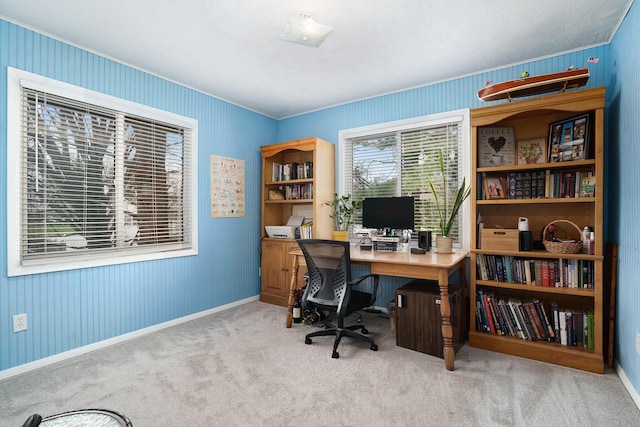 8170 Talaria Ter, Kalamazoo, MI 49009 - carpeted home office with baseboards