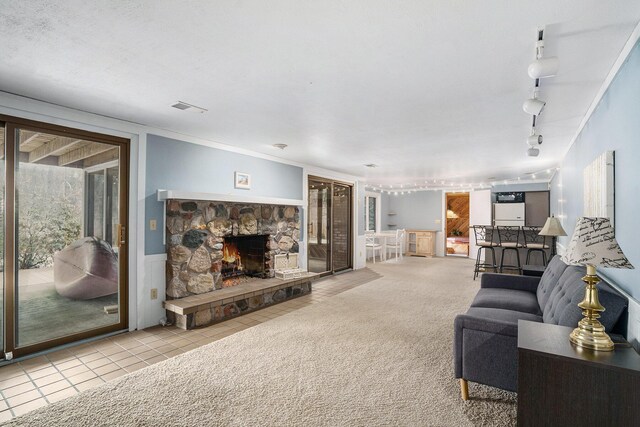 8170 Talaria Ter, Kalamazoo, MI 49009 - living room featuring a stone fireplace, rail lighting, tile patterned flooring, and wainscoting