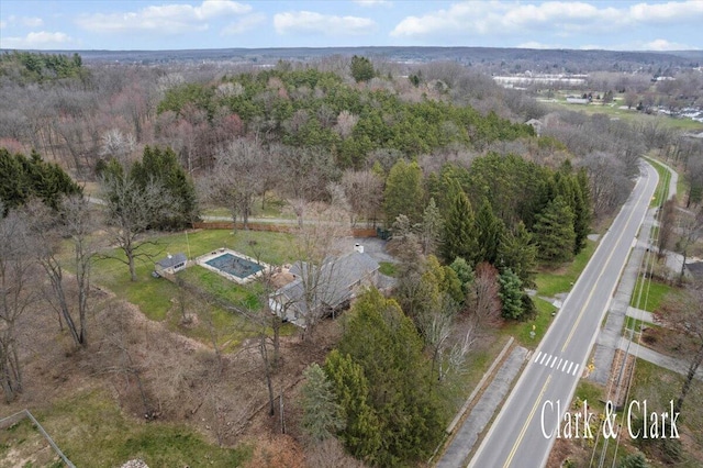 bird's eye view