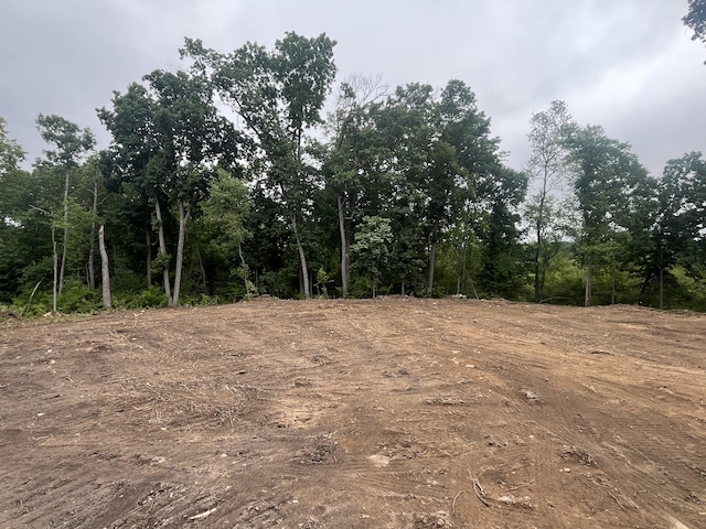 5030 Rimers Dr, Jackson, MI 49201 - photo 8