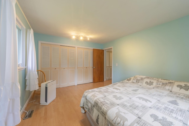 3010 Hill An Brook Dr, Portage, MI 49024 - bedroom featuring light wood-style flooring and multiple closets