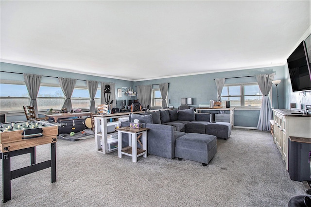 13627 Cadmus Rd, Hudson, MI 49247 - living area featuring carpet, a wealth of natural light, and ornamental molding