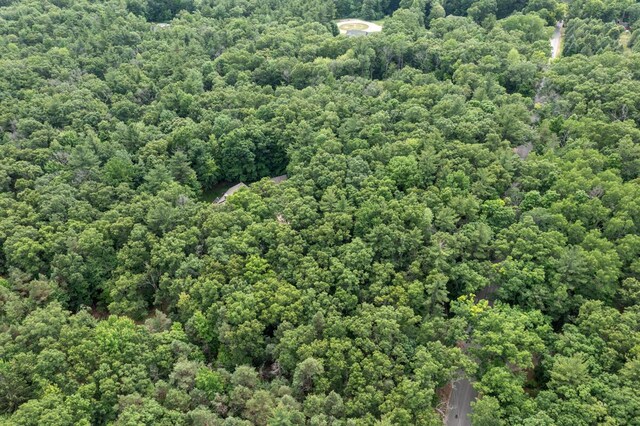 8702 E 98th St, Howard City, MI 49329 - bird's eye view of a forest