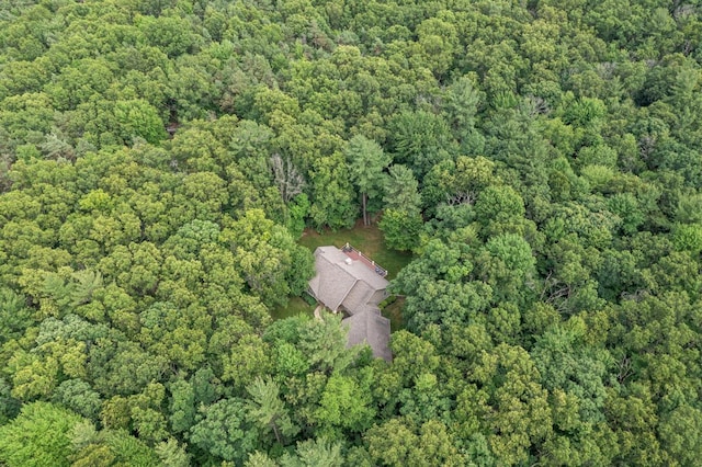 8702 E 98th St, Howard City, MI 49329 - aerial view of property's location featuring a heavily wooded area