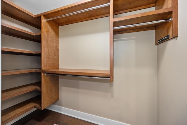 8702 E 98th St, Howard City, MI 49329 - view of walk in closet