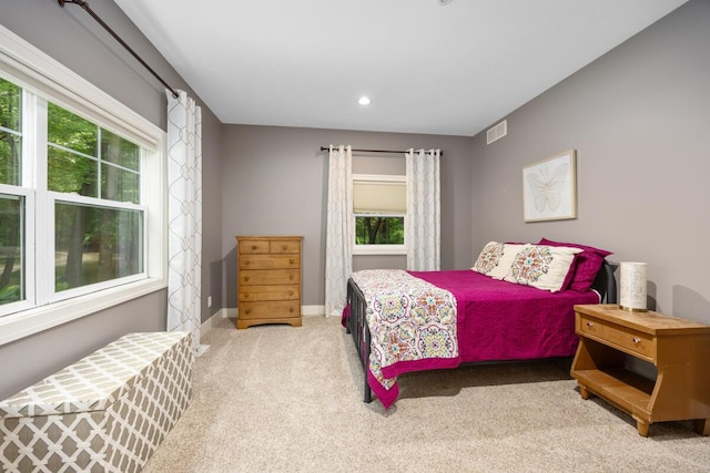 8702 E 98th St, Howard City, MI 49329 - carpeted bedroom with multiple windows and recessed lighting