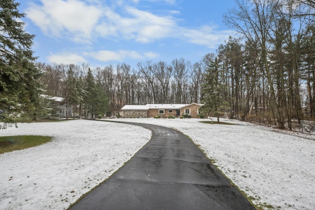 view of street featuring driveway