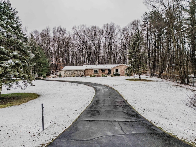 view of front of property with stone siding and curved driveway