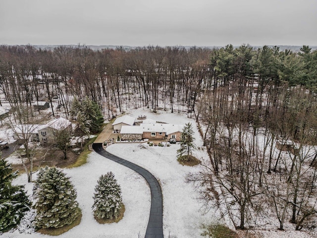 view of snowy aerial view