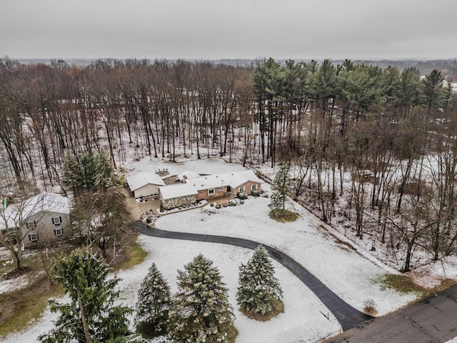 view of snowy aerial view