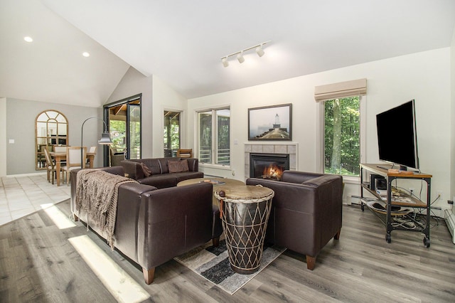 5410 Oak Ridge Rd, Ludington, MI 49431 - living room featuring track lighting, light wood-style floors, a fireplace, and vaulted ceiling