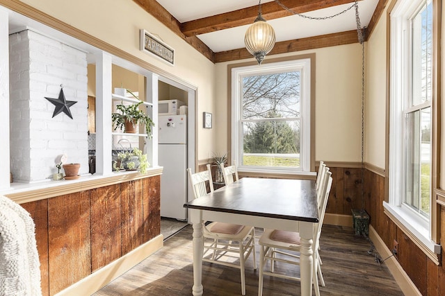 dining space with a wealth of natural light, beam ceiling, a wainscoted wall, and wood finished floors