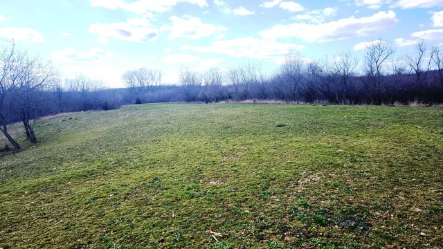 13245 Logan Rd, Manchester, MI 48158 - photo 5