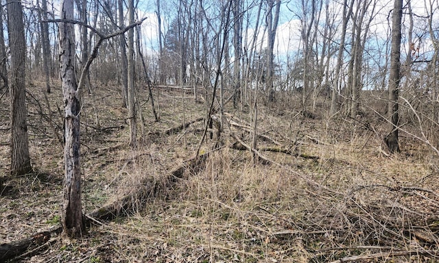 13245 Logan Rd, Manchester, MI 48158 - photo 7