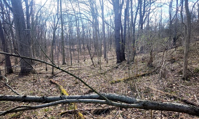 13245 Logan Rd, Manchester, MI 48158 - photo 8