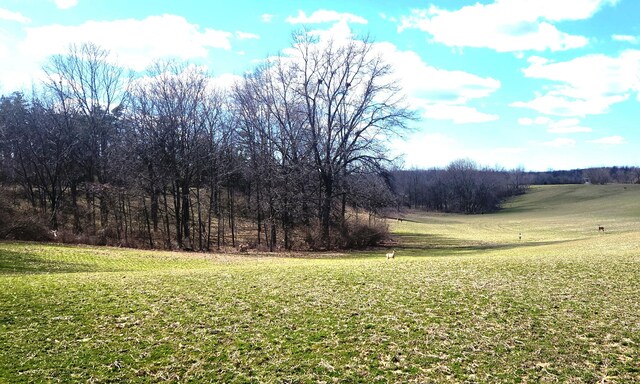 13245 Logan Rd, Manchester, MI 48158 - photo 12
