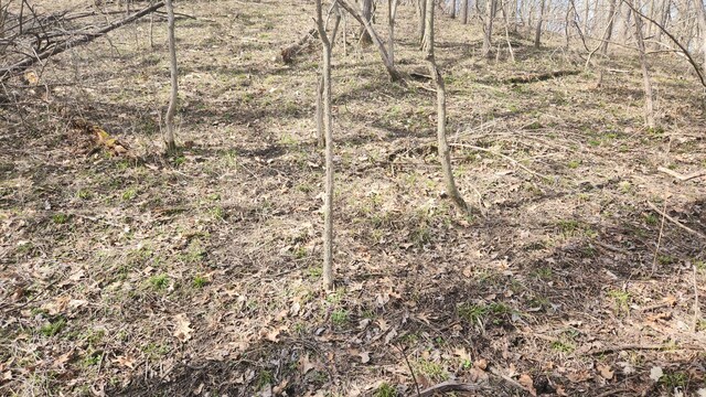 13245 Logan Rd, Manchester, MI 48158 - photo 13