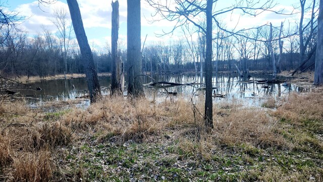 13245 Logan Rd, Manchester, MI 48158 - photo 14