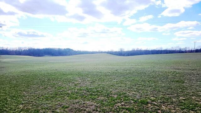 13245 Logan Rd, Manchester, MI 48158 - photo 15