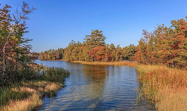 201 E Danaher St, Ludington, MI 49431 - view of water feature featuring a wooded view