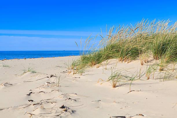 201 E Danaher St, Ludington, MI 49431 - water view with a view of the beach