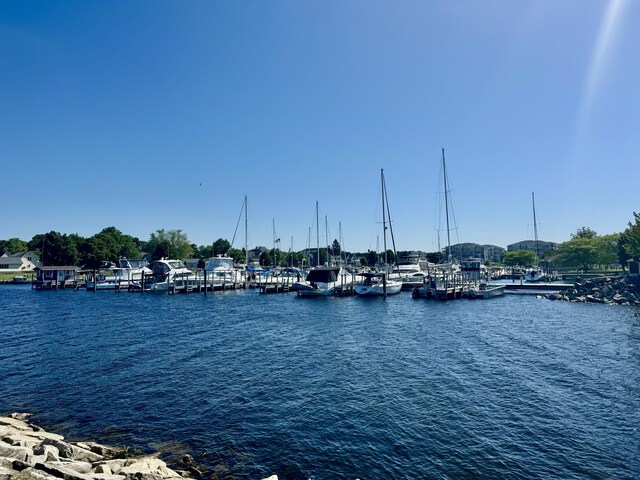 201 E Danaher St, Ludington, MI 49431 - water view featuring a boat dock