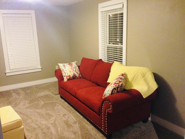 201 E Danaher St, Ludington, MI 49431 - living room with carpet flooring and baseboards