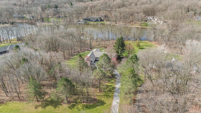 10159 E Rivershore Dr SE, Alto, MI 49302 - drone / aerial view with a water view