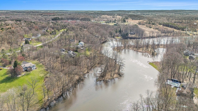 10159 E Rivershore Dr SE, Alto, MI 49302 - drone / aerial view featuring a water view and a wooded view