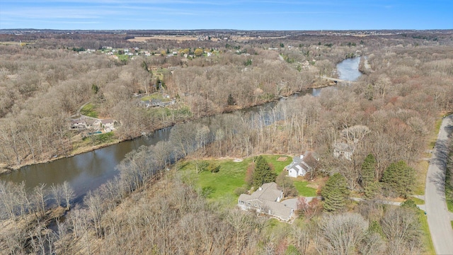 10159 E Rivershore Dr SE, Alto, MI 49302 - bird's eye view featuring a water view