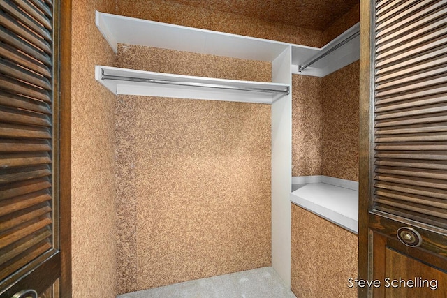 walk in closet with carpet