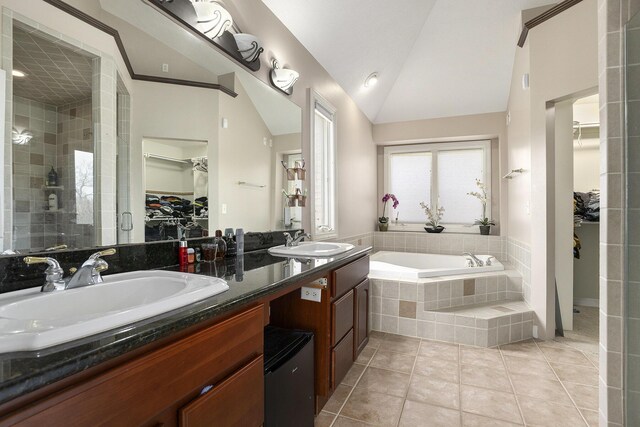17 Coronado Dr, Jackson, MI 49201 - full bath with a shower stall, a spacious closet, a sink, and lofted ceiling